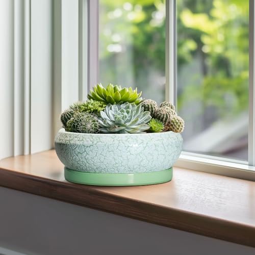 Bonsai Pots 10 Inch Ceramic Succulent Pot with Drainage Hole and Plant Saucer (10 Inch / Bright Green-white)
