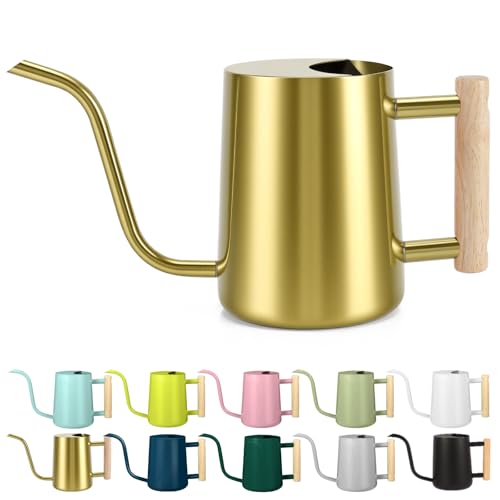 Watering Can Indoor Plants (Gold)