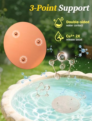 Bird Bath Copper Disc (Copper Sunflower)