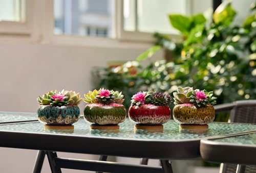 Cute Ceramic Succulent Garden Pots (Round+white Border)