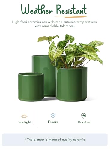 10+8+6 Inch Ceramic Pots for Plants (Bamboo Green)