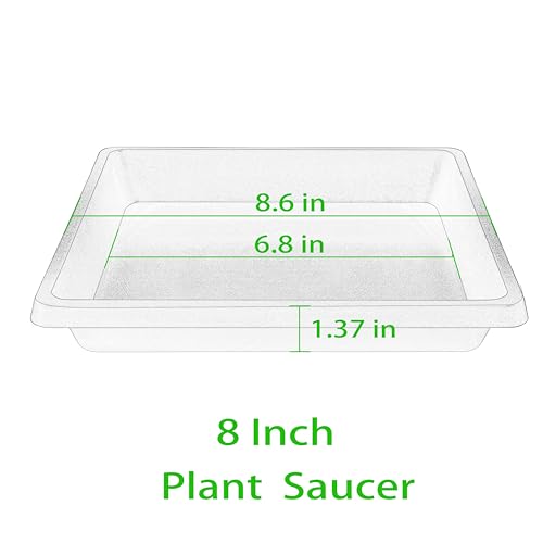Square Plant Saucer 8 Inch 2 Pack (8"(2Pack) / Blue)