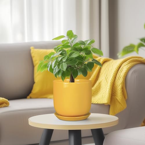 Plant Pot 5 Inch (5.3 Inch / Gloss Yellow)