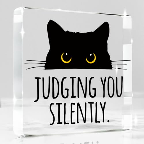 Judging you Silently Funny Sign (Siently)