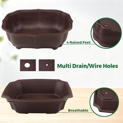 2 Pack 8" Unglazed Ceramic Bonsai Tree Pot Training Planter with Drainage Wiring Hole (2Pcs 8" Rectangle)