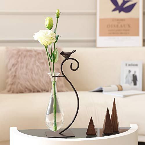 Desktop Glass Planter Hydroponics Vase