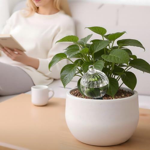 12 oz Up to 1 Week Glass Plant Watering Globe with Terracotta Spikes (12 oz – 4 Pack)