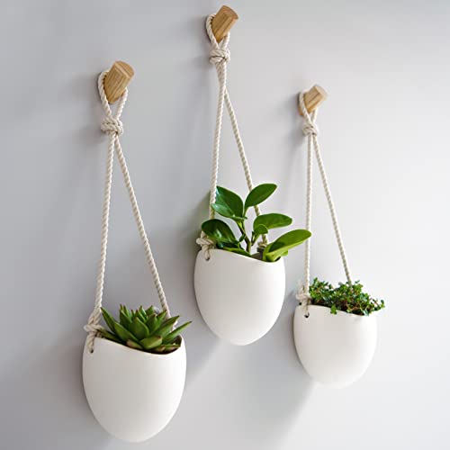 Porcelain Wall Vases (3 Count)