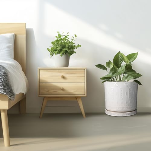 Ceramic Pots for Plants 12 Inch
