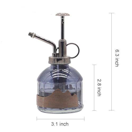 Plant Mister Spray Bottle Vintage Glass Fine Mist Spritzer 6.7OZ (D-Distant Hill)