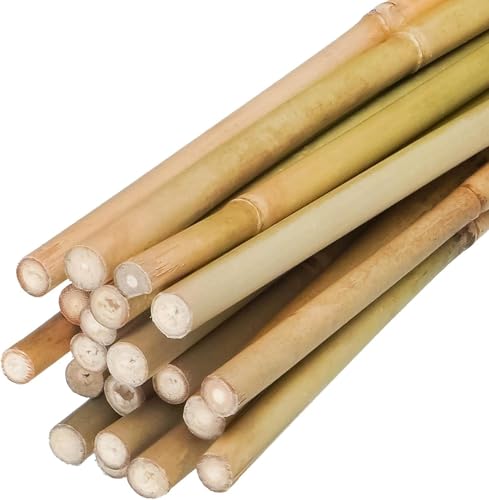 Natural Bamboo Plant Stake（Approx 5FT 50Pcs） Sturdy Bamboo Poles (4.8ft-50pcs)