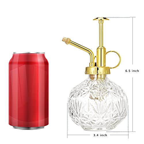 Glass Plant Mister Water Spray Bottle (Clear+Gold A)