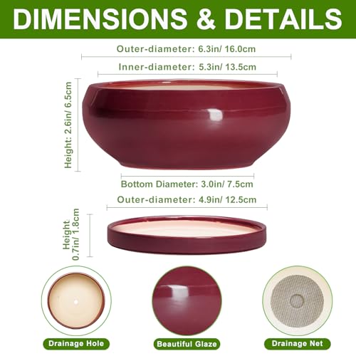 Bonsai Pots Small (6 Inch / Wine Red)