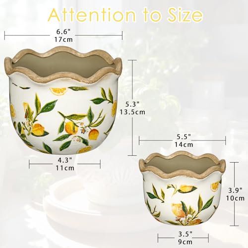 Rustic Farmhouse Ceramic Plant Pots (Yellow & White Lemon Patterns)