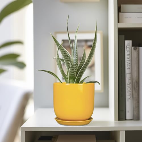 Plant Pot 5 Inch (5.3 Inch / Gloss Yellow)