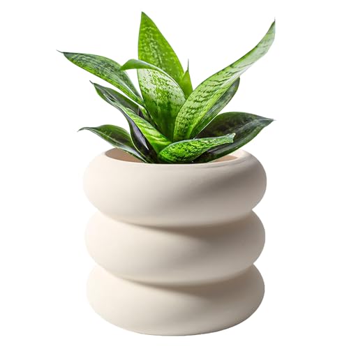 Ceramic Plant Pot Indoor