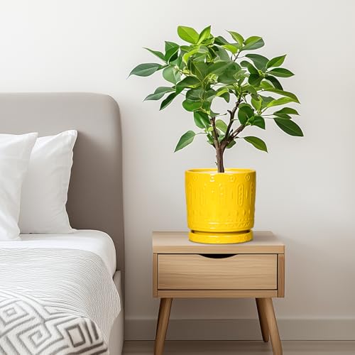 6 Inch Pots for Plants (6 Inch / Yellow)