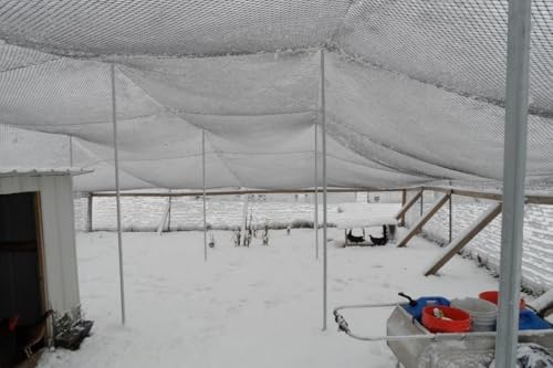 Poultry Netting 1" or 2" Mesh Heavy Knotted Nets Aviary Gamefowl Quail Chicken Bird Block Net Long Lasting Break
