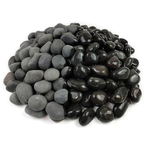 5 lbs Black Pebbles for Indoor Plants