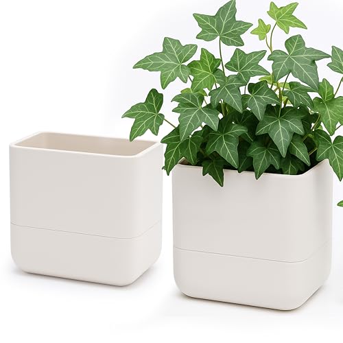 6.5 Inch Wall Mounted Self (6.5" (2 Pack) / Oatmeal)