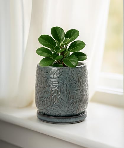 Embossed Leaves Ceramic Planter (4 Inch / Graphite Blue)