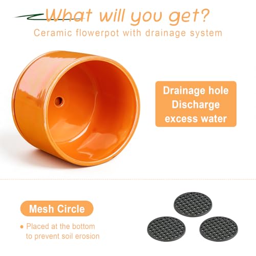 Ceramic Plant Pots (Orange)