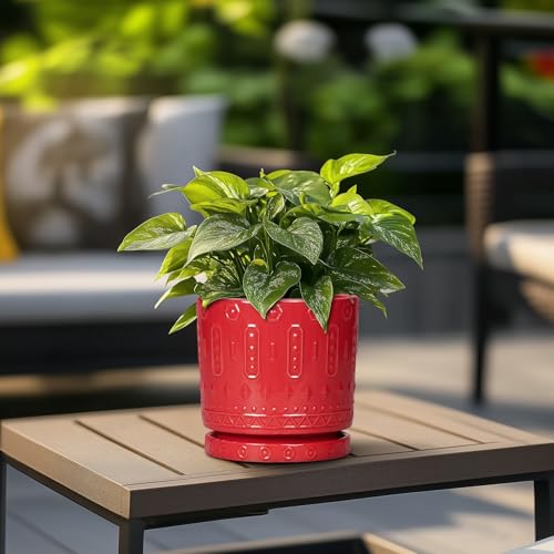 6 Inch Plant Pot (6 Inch / Red)