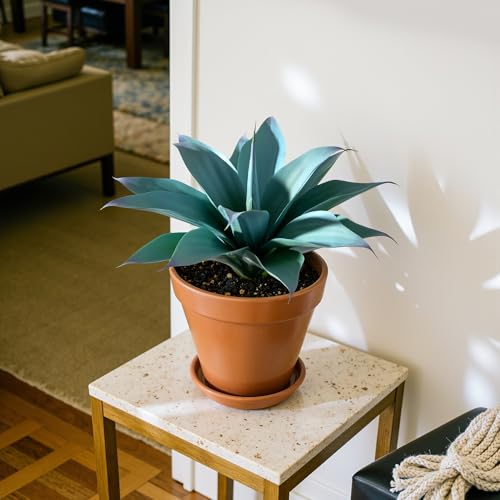 2-Pack 13.8-Inch Artificial Agave Plants for Outdoor Planters, UV Resistant Fake Agave Plants, Faux Succulent Greenery for Porch, Patio, Garden, Entryway and Indoor Decor, Blue (Agave15-blue2)