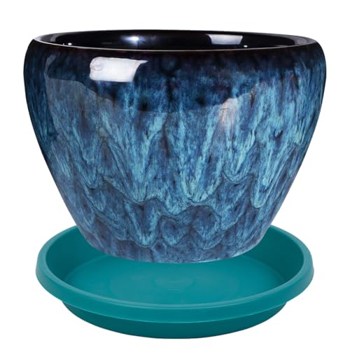 Plant Saucers 10 Inch Round 2 Pack Plastic Heavy Duty Drip Trays for Indoor Outdoor Use