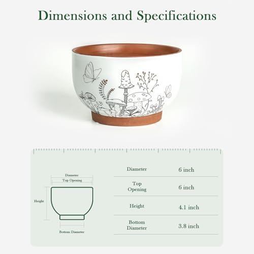 Terracotta Pots (6 Inch - 1 Pack / Cottage)