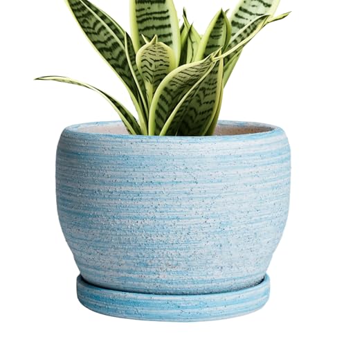 Ceramic Planters for Indoor Plants