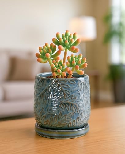Embossed Leaves Ceramic Planter (4 Inch / Ocean Teal)