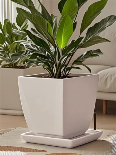 Square Ceramic Plant Saucer Tray 12 13 14 Inch White