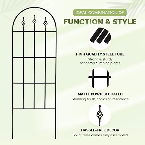 Decorative Metal Trellis for Climbing Plants Outdoor