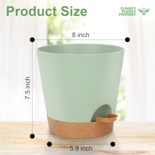 8 Inch Plant Pots (2 Count)