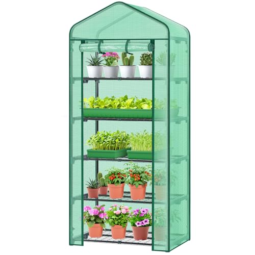 Mini Greenhouse for Indoor Outdoor (Green / 5 Tier Single Layer Roof)