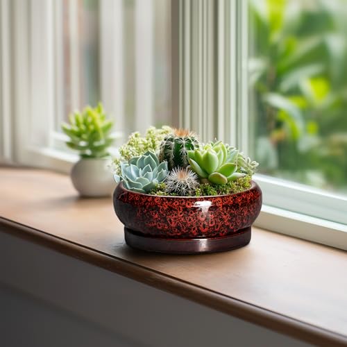 Succulent Planters 6 Inch (6 Inch / Leopard Red)