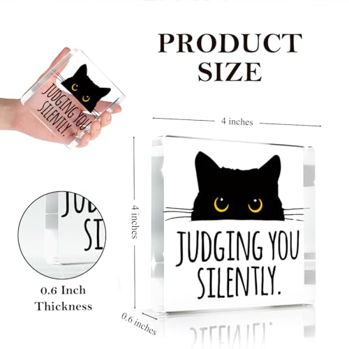 Judging you Silently Funny Sign (Siently)