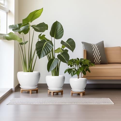 10+8+6 Inch Ceramic Planter (10+8+6 Inch / White)