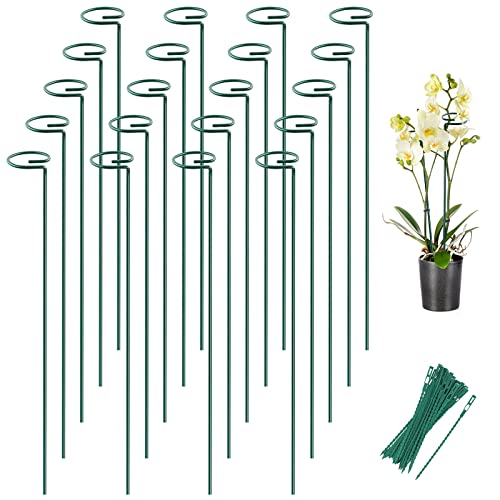 12 Pack 24 Inch Plant Support Stakes for Outdoor Plants and Indoor Flowers (24 inch)