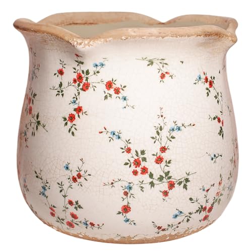 Ceramic Pots for Plants