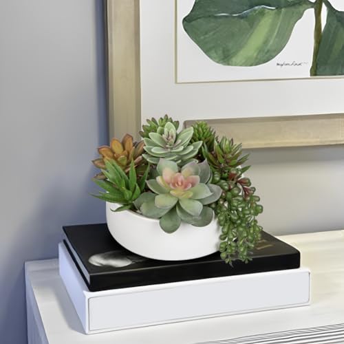 Artificial Succulent Plants in Pot 5.5 Inch Fake Succulents Arrangement (White Ceramic#style 2)