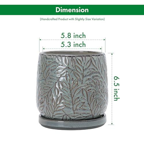 Embossed Leaves Ceramic Planter (6 Inch / Graphite Blue)