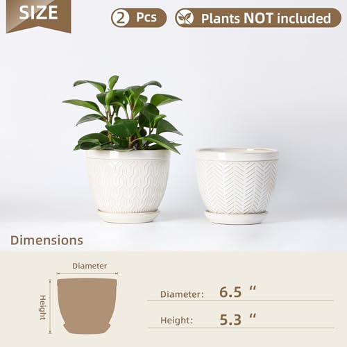 6.5 Inch Ceramic Plant Pots Set of 2 (Glazed White / 6.5 inch)