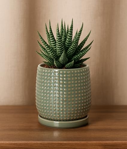 Beaded Ceramic Pot with Saucer (4.3 Inch / Olive)
