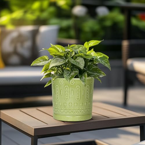 Ceramic Pot for Plants
