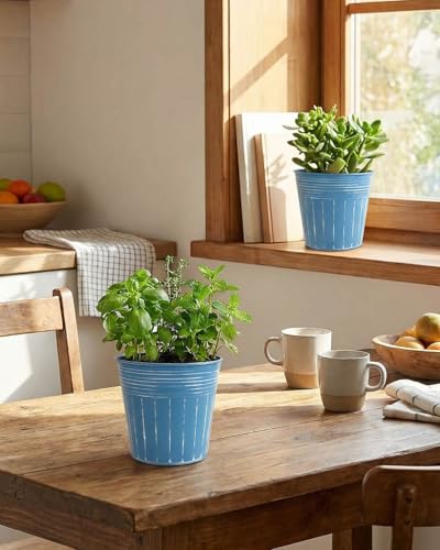 5 Inch Galvanized Bucket Planters (Steel Blue / 5 inch)