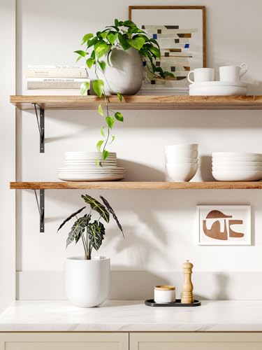 6 Inch Ceramic Plant Pot (White / 6 Inch)