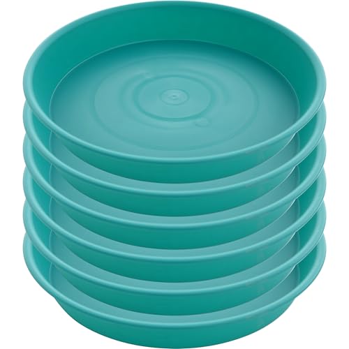 2 Pack of 8 inch Plant Saucer Clear (8" (2 pack) / Teal)