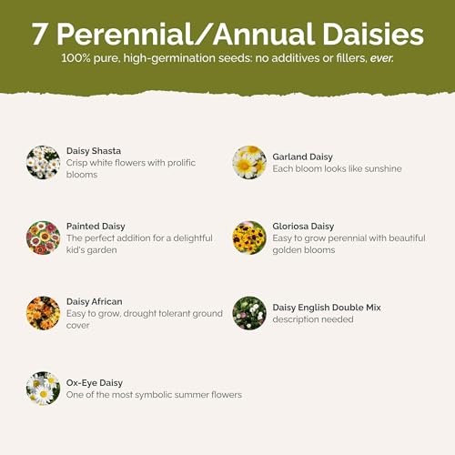 Daisy Crazy Flower Mixed Seeds for Planting (16 Ounce)